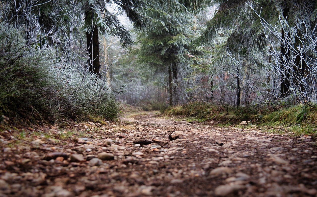 How Climate Change is Affecting Hiking Trails